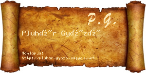 Pluhár Győző névjegykártya